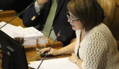 Diputada Hernando considera necesario corregir déficits estructurales de Atención Primaria de Salud
