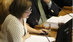Diputada Hernando en discusión sobre Presupuesto Nacional 2015